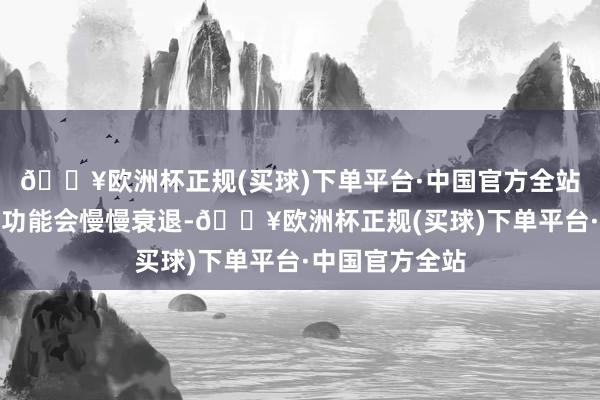 🔥欧洲杯正规(买球)下单平台·中国官方全站肾脏的结构和功能会慢慢衰退-🔥欧洲杯正规(买球)下单平台·中国官方全站