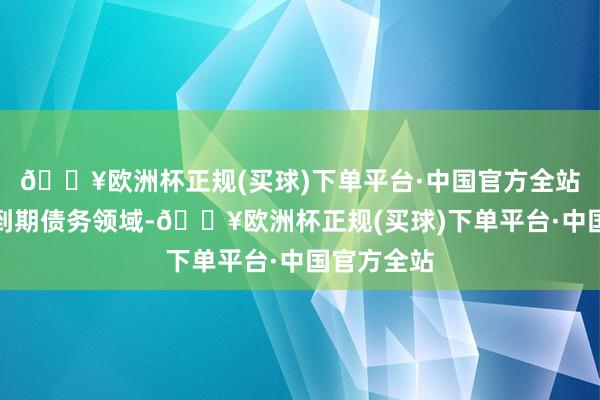 🔥欧洲杯正规(买球)下单平台·中国官方全站平衡分年到期债务领域-🔥欧洲杯正规(买球)下单平台·中国官方全站